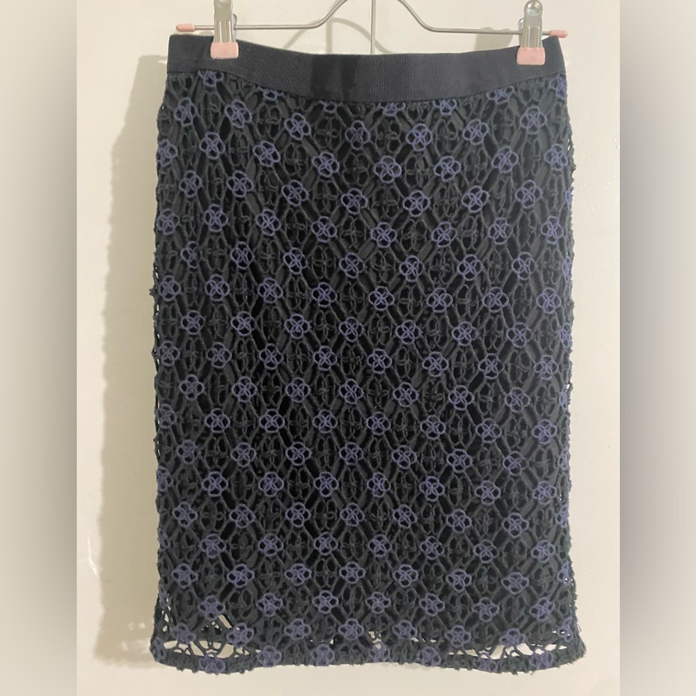 Ann Tailor skirt